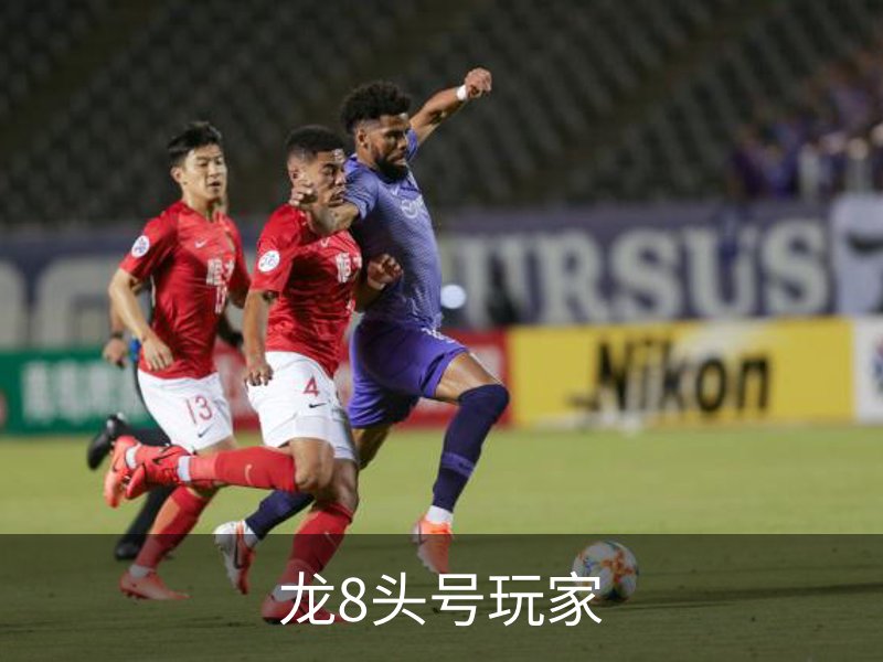 龙8头号玩家介绍
